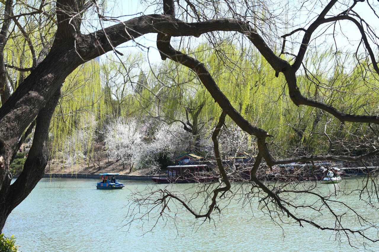 顺德旅游安徽旅游景点