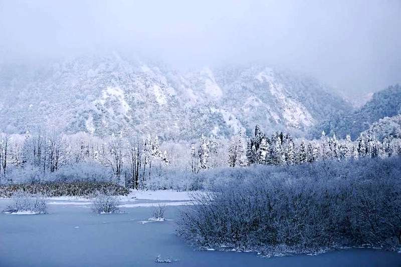 龙池虹口赏雪景