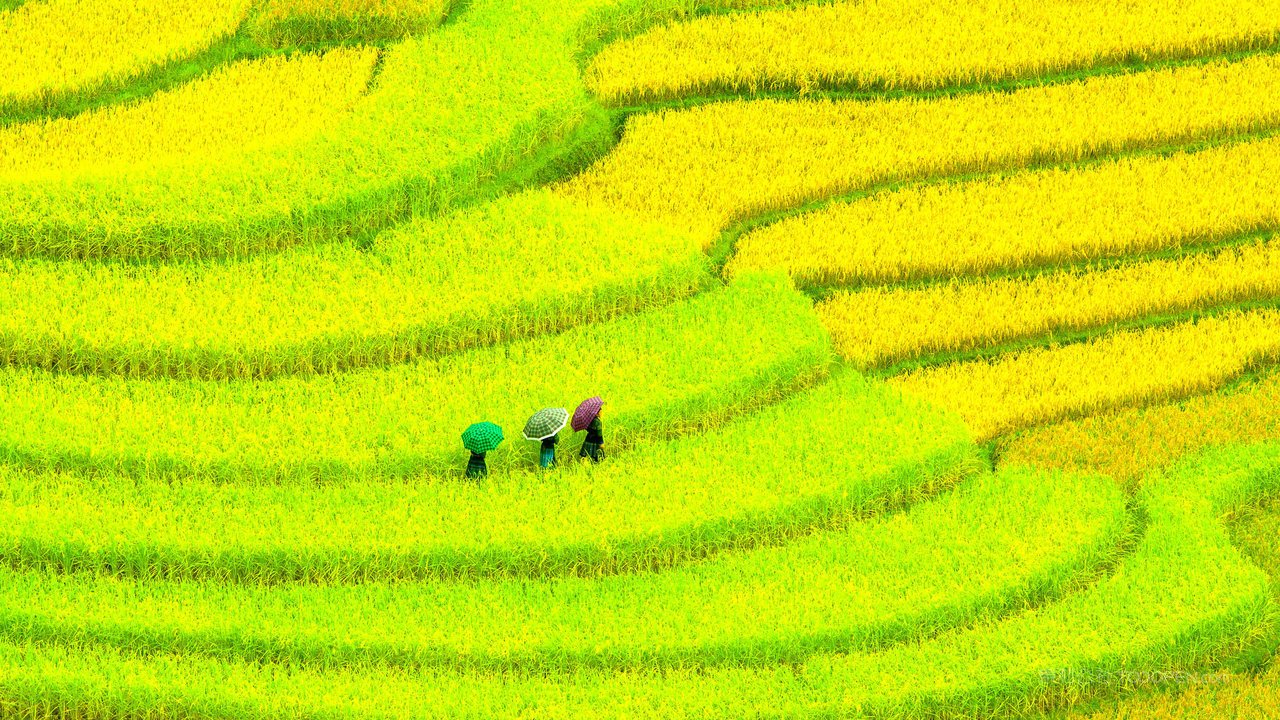 咸宁地区夏天旅游景点推荐（咸宁哪些景点适合夏天旅游）