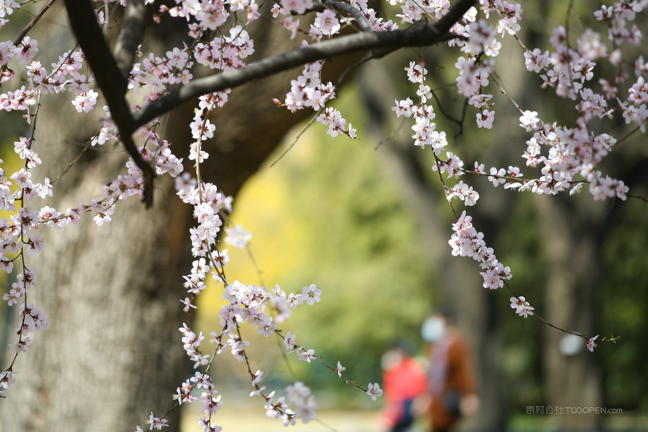 齐齐哈尔旅游景点攻略