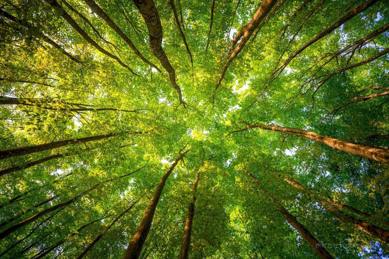 铜梁山有哪些景区免费的