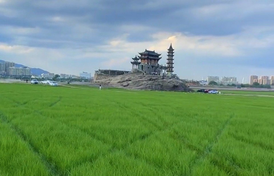 落星墩，鄱阳湖草原