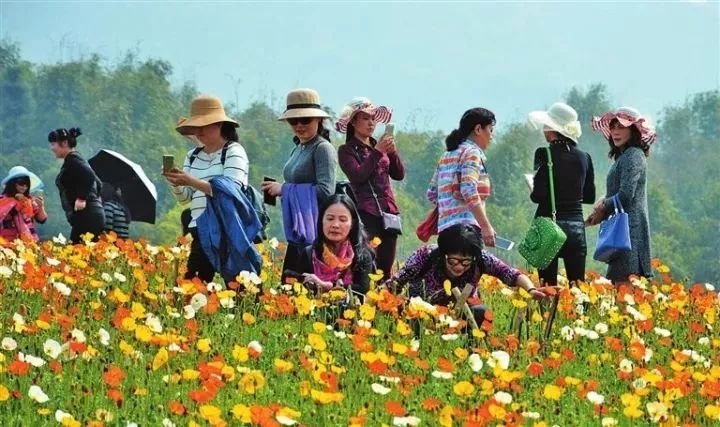 在疫情防控常态化下，农村居民出游成旅游经济增长新引擎