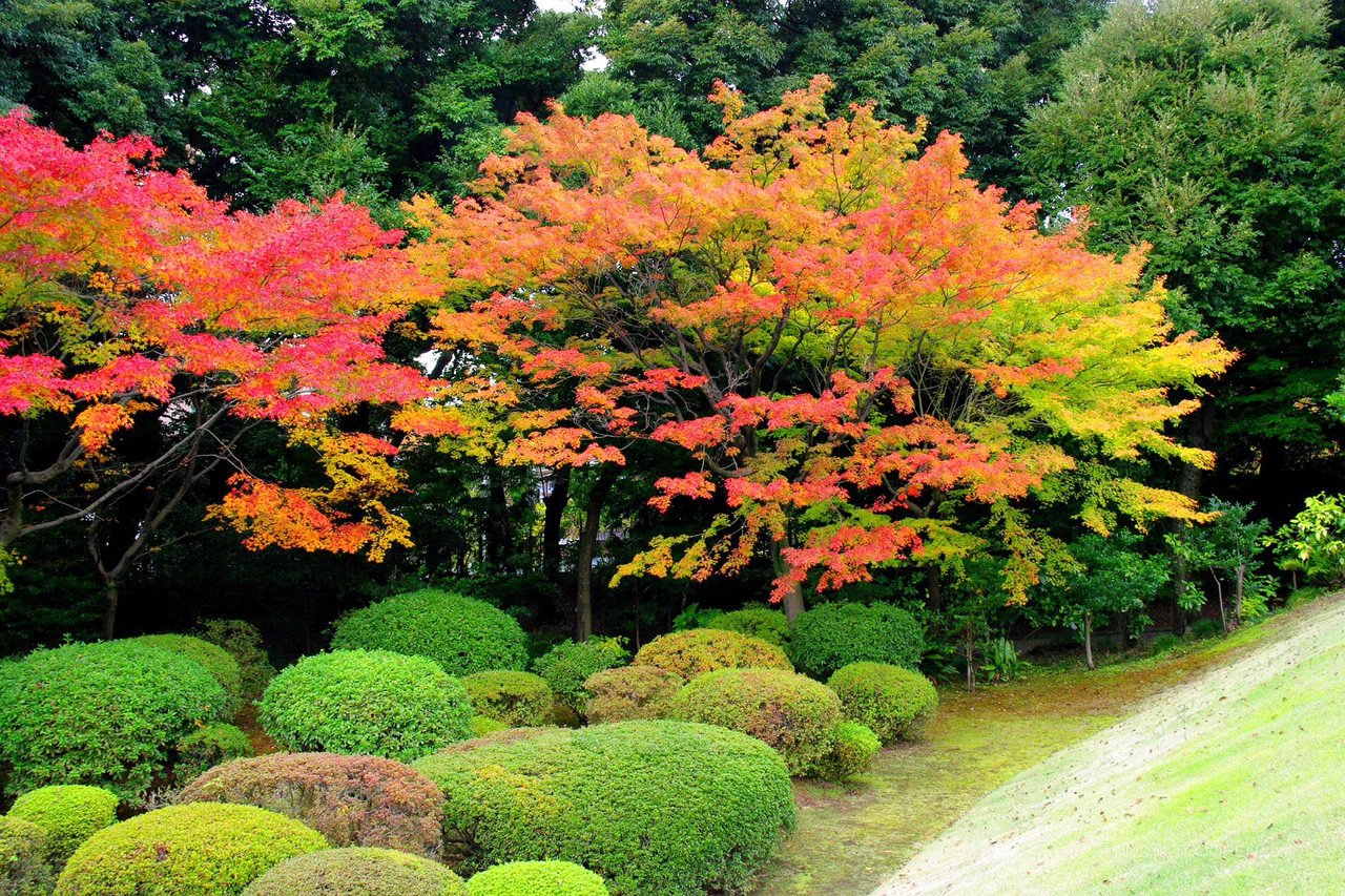 花都旅游景区木屋